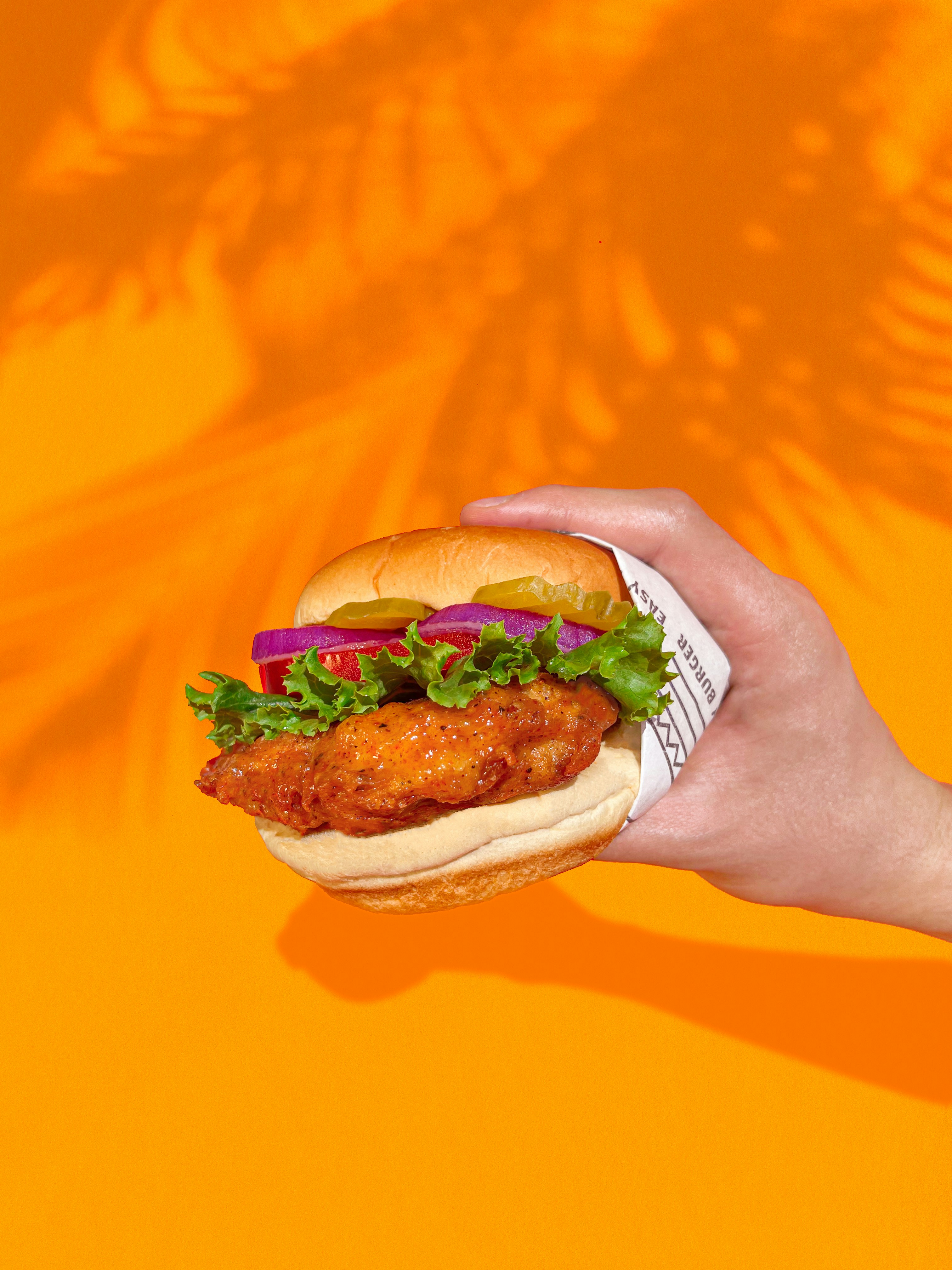 Burger Poisson